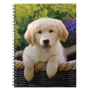 Carnet Charming Goldie Retriever mignon Chiot, Photocoto