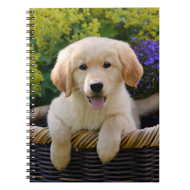 Carnet Charming Goldie Retriever mignon Chiot, Photocoto (Devant)