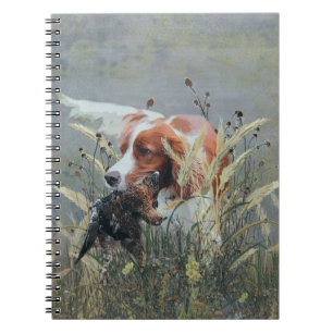 Carnet Chasse avec Epagneul Breton