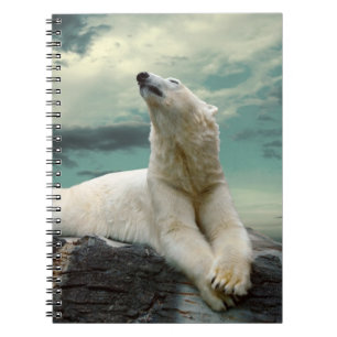 Carnet Chasseur blanc d'ours blanc sur la roche