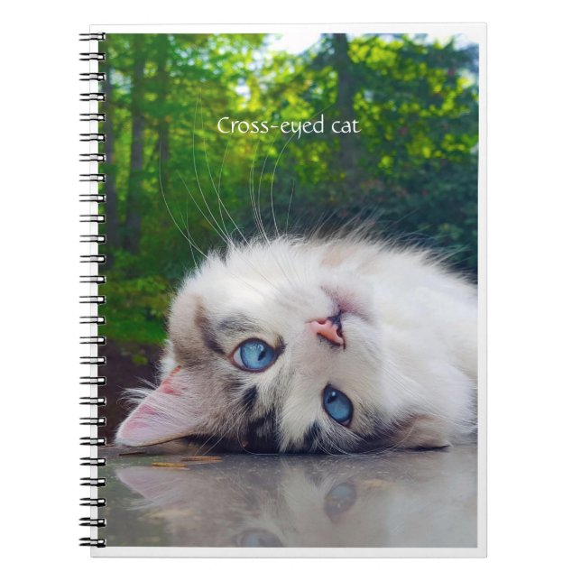 Carnet Chat aux yeux croisés (Devant)