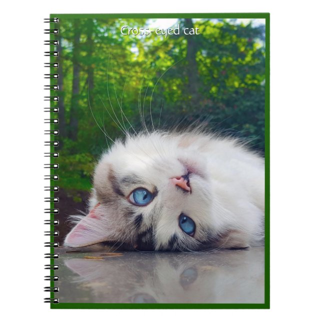 Carnet Chat aux yeux louches (Devant)