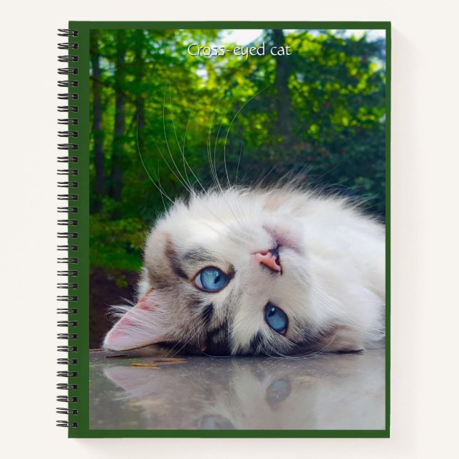 Carnet Chat aux yeux louches (Devant)