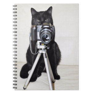 Carnet Chat avec l'appareil photo
