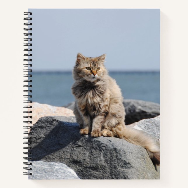 Carnet Chat Balayé par le Vent sur la Côte Photo Mignonne (Devant)