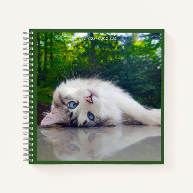 Carnet Chat bigleux (Devant)