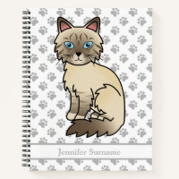 Chat Birman tabby au point chocolat & Texte person