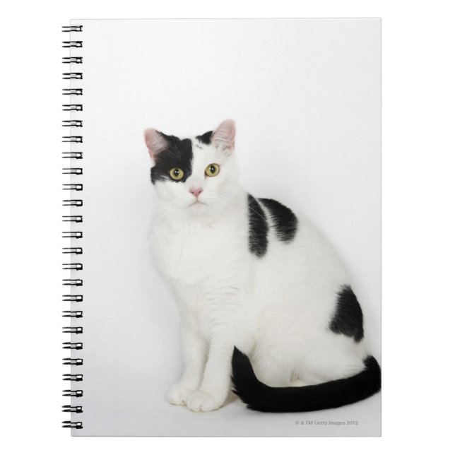 Carnet Chat blanc avec taches noires (Devant)
