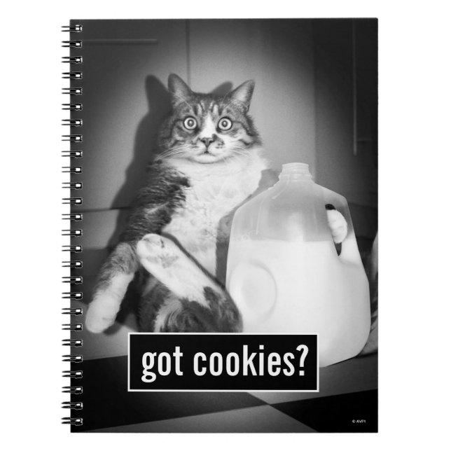 Carnet Chat Boire Du Lait De Jug (Devant)