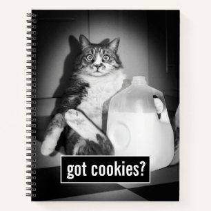 Carnet Chat Boire Du Lait De Jug