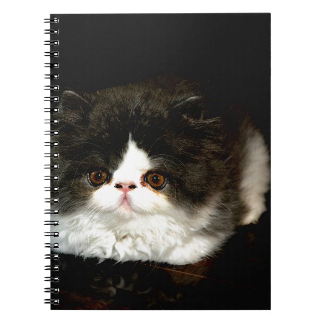 Carnet Chat chaton blanc noir mignon (Devant)