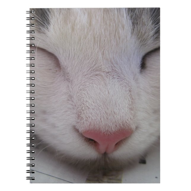 Carnet Chat couché (Devant)