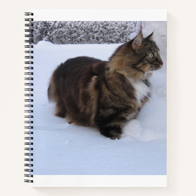 Carnet chat des forêts norvégiennes dans la neige (Devant)