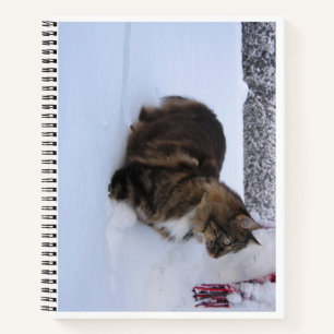 Carnet chat des forêts norvégiennes dans la neige
