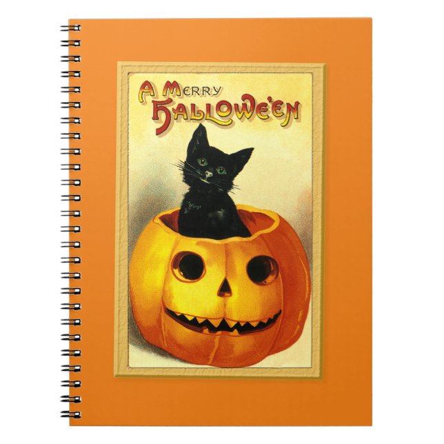 Carnet Chat d'Halloween assis dans une citrouille lumineu (Devant)
