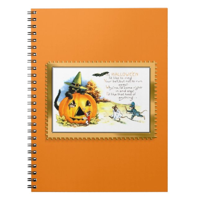 Carnet Chat d'Halloween assis dans une citrouille lumineu (Devant)