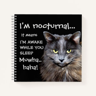 Carnet Chat Drôle est un Mal Nocturne Rire 
