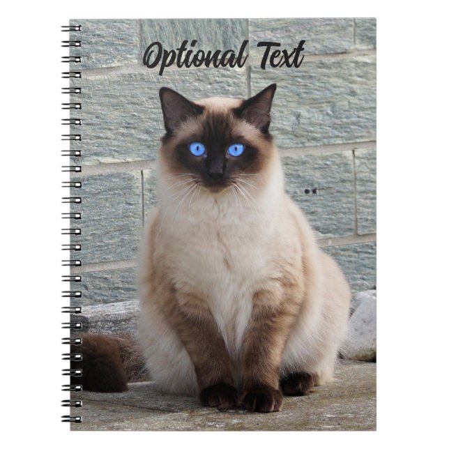 Carnet Chat Fluffy Personnalisé avec des Yeux Bleus (Devant)