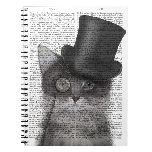 Carnet Chat gris avec chapeau supérieur (Devant)
