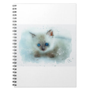 Carnet Chat Kitten Animau Kitty Jeune Chat Animal Feline