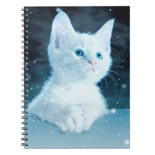 Carnet Chat kitty neige art animal nature
