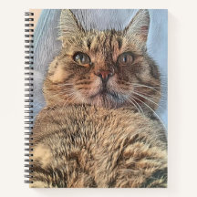 Chat Majestic de Tigre