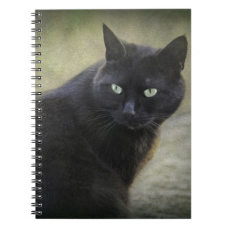 Carnet Chat mâle noir aux yeux verts