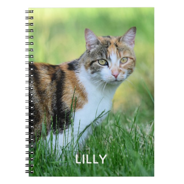Carnet Chat marron et blanc (Devant)