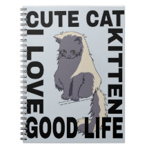 Chat mignon bonne vie