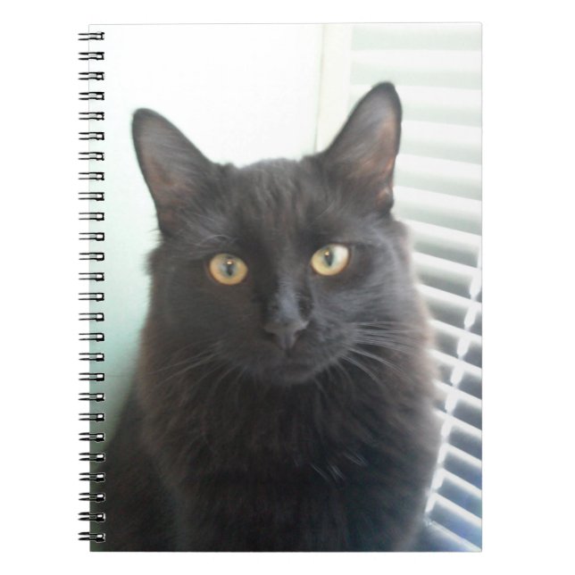 Carnet Chat noir (Devant)