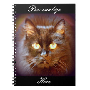 Carnet chat noir
