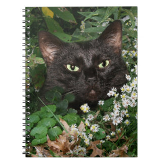 Carnet Chat noir avec fleur sauvage