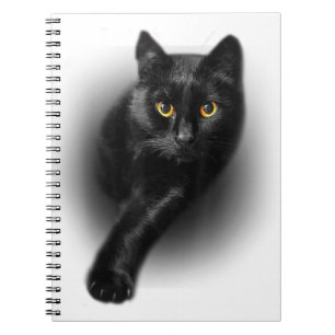 Carnet Chat noir Yellow Eyes Chats