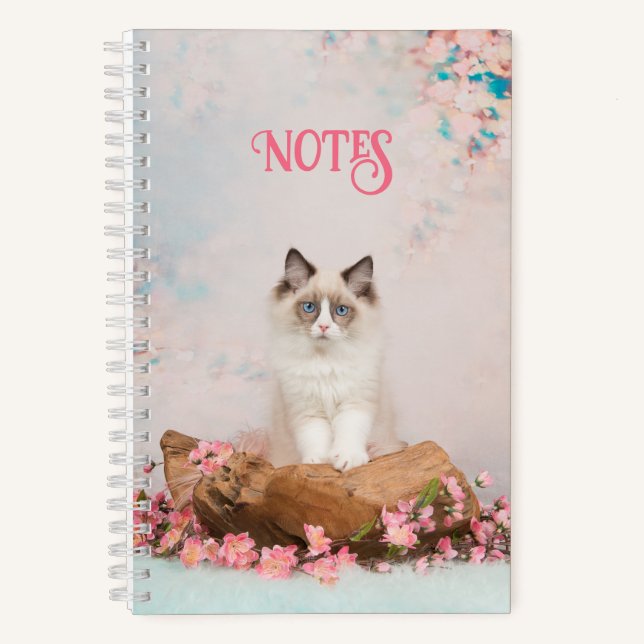 Carnet Chat persan mignon (Recto)