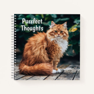 Carnet Chat perse orange
