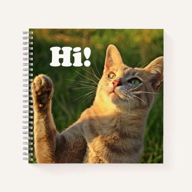Carnet Chat roux qui dit bonjour ! (Devant)
