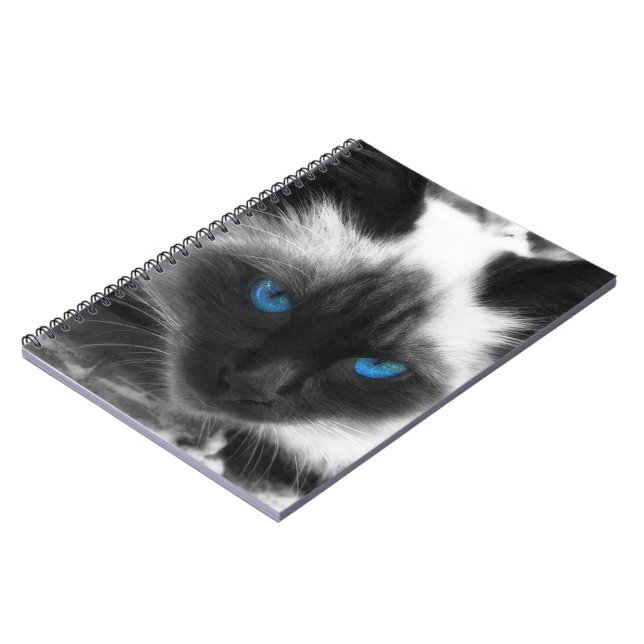 Carnet Chat siamois (Côté gauche)