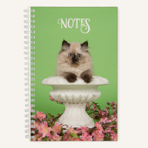 Carnet Chat siamois mignon et long-haïr