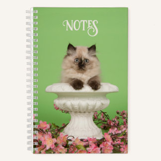 Carnet Chat siamois mignon et long-haïr