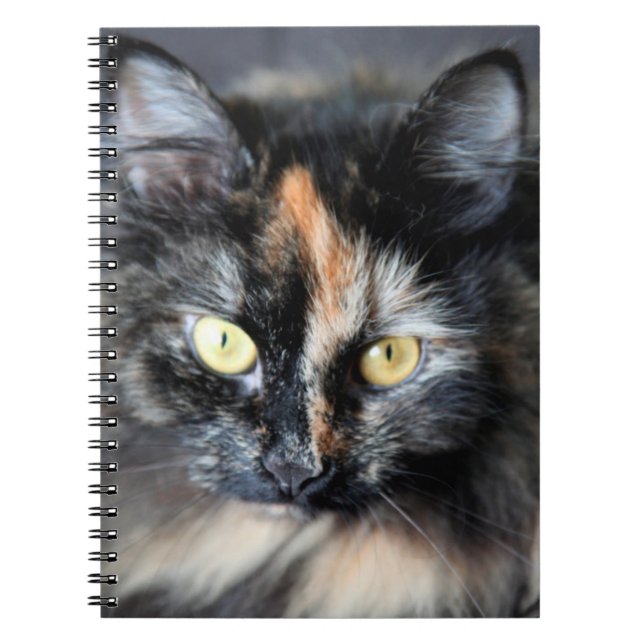 Carnet Chat sibérien (Devant)