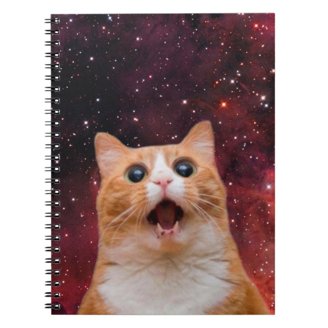 Carnet Chat spatial étonné (Devant)