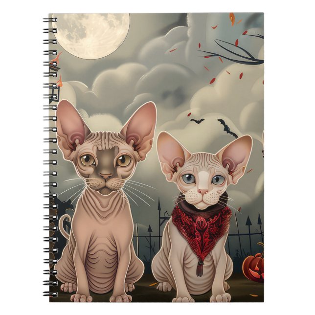 Carnet Chat Sphynx Halloween Ensorcelant (Devant)
