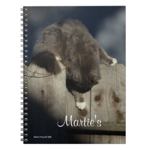 Carnet Chat sur clôture (18)