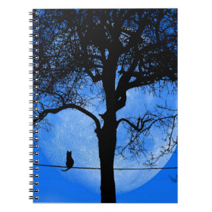 Carnet Chat sur une lune bleue fil