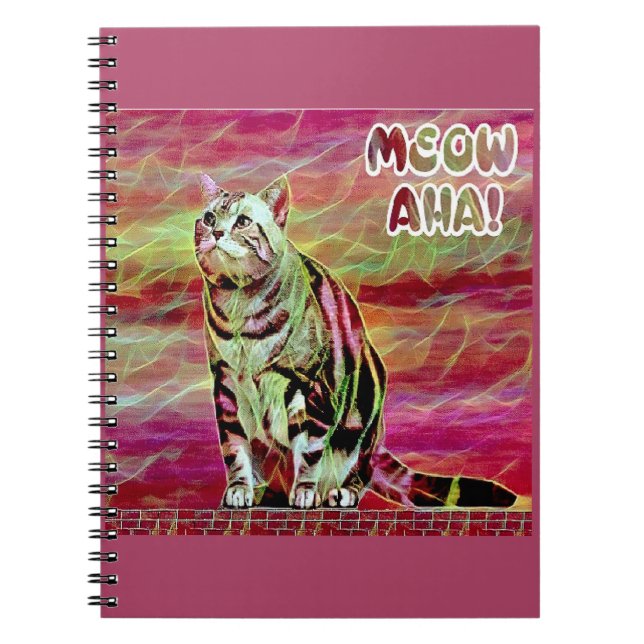 Carnet Chat tigré argenté (Devant)