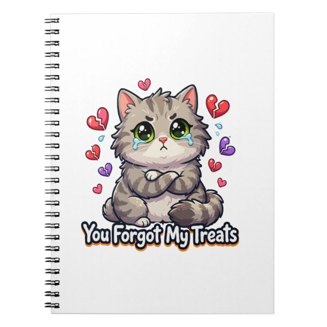 Carnet Chat triste, vous avez oublié mes friandises (Devant)