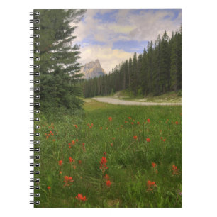 Carnet Château Mountain Banff