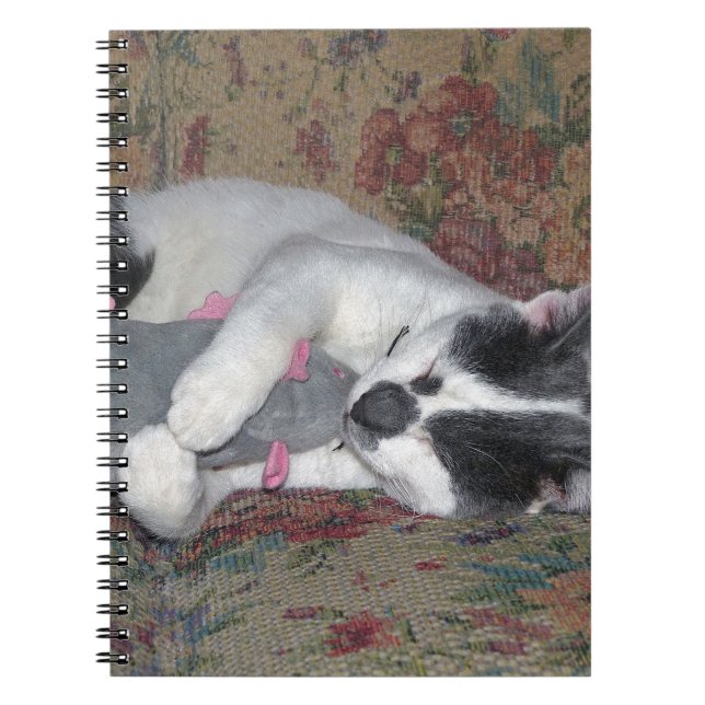 Carnet Chaton couchant (Devant)
