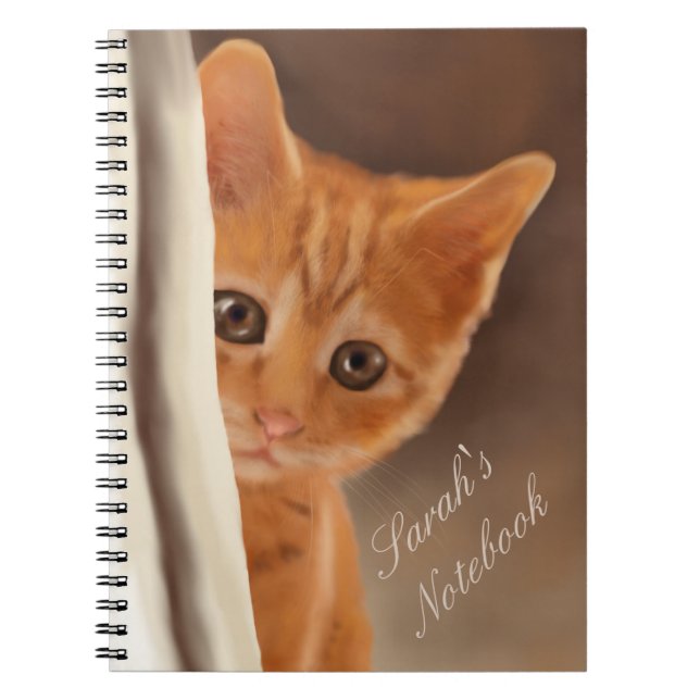 Carnet Chaton pelucheux de gingembre (Devant)
