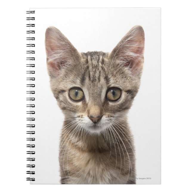 Carnet Chaton rayé (Devant)